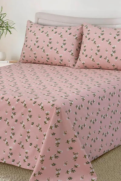 Cotton BedSheet Design BS-127